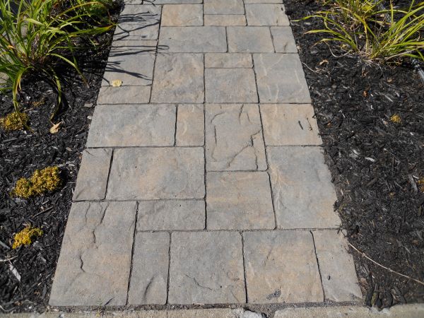Cost of Stamped Concrete Staining in Santa Rosa
