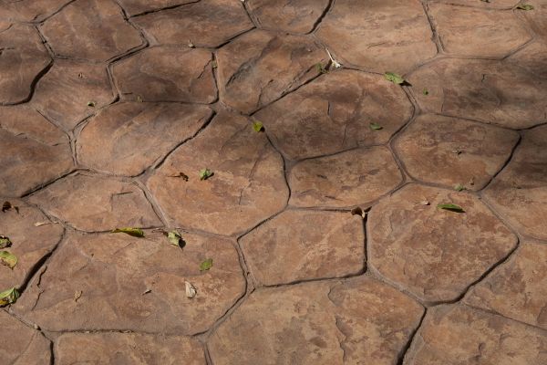 Cost of Concrete Texturing in Santa Rosa