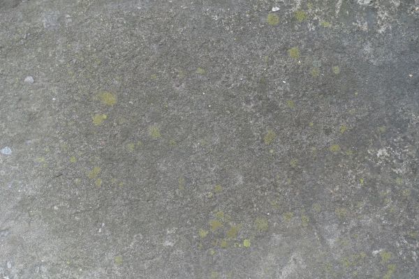 Cost of Slab Staining Service in Santa Rosa